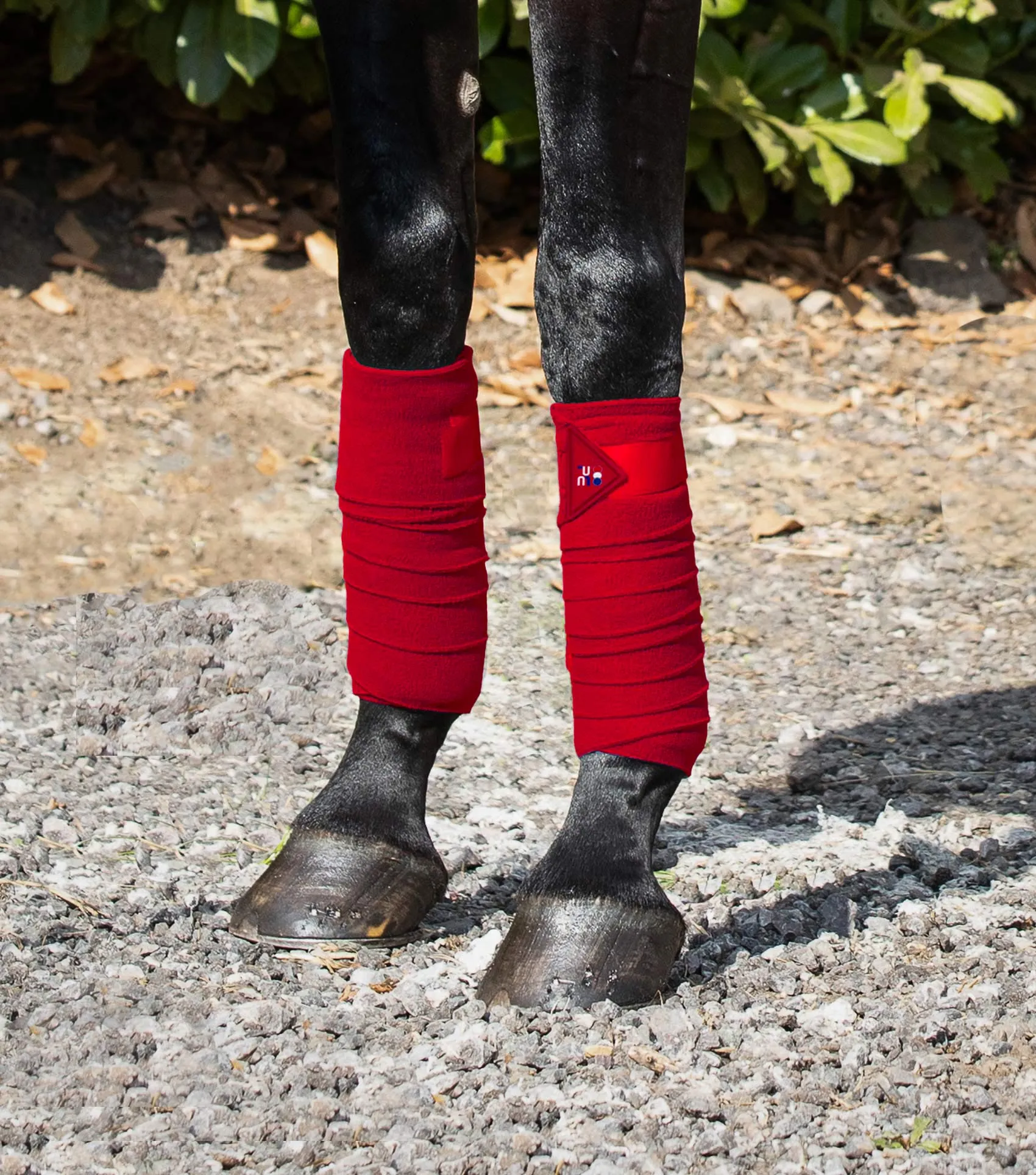 Horse Polo Fleece Bandages Red