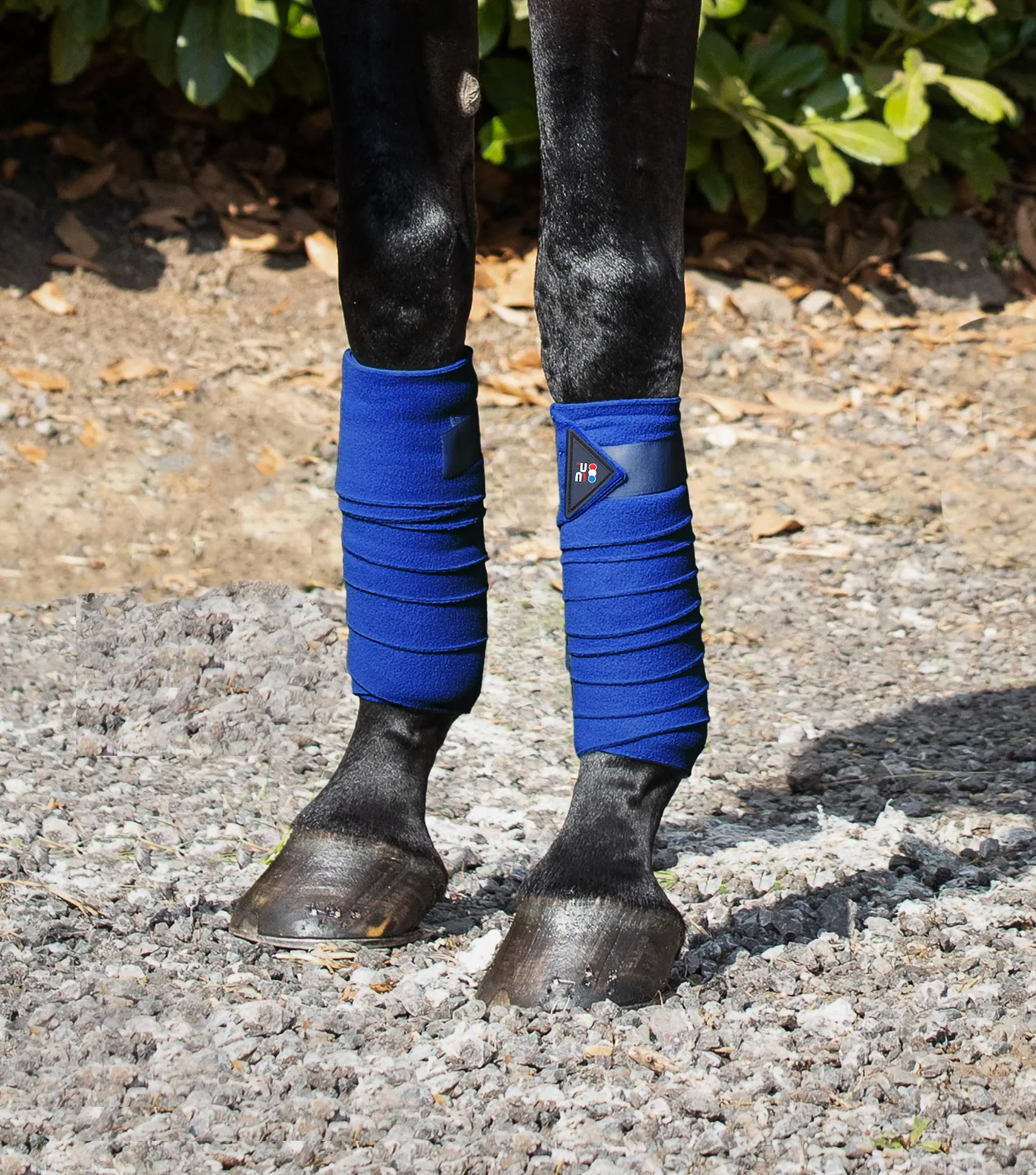 Horse Polo Fleece Bandages Royal Blue