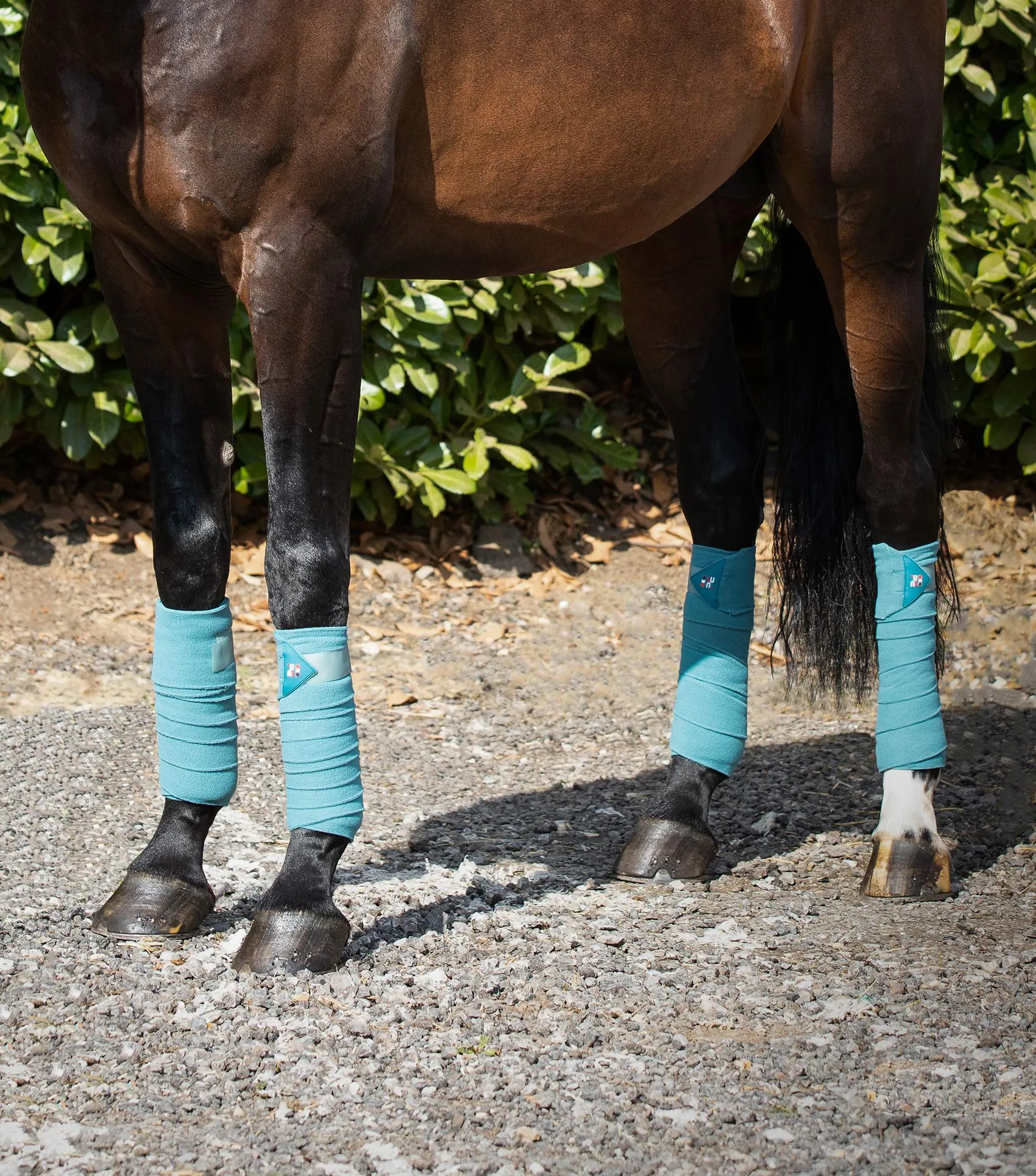 Horse Polo Fleece Bandages Turquoise