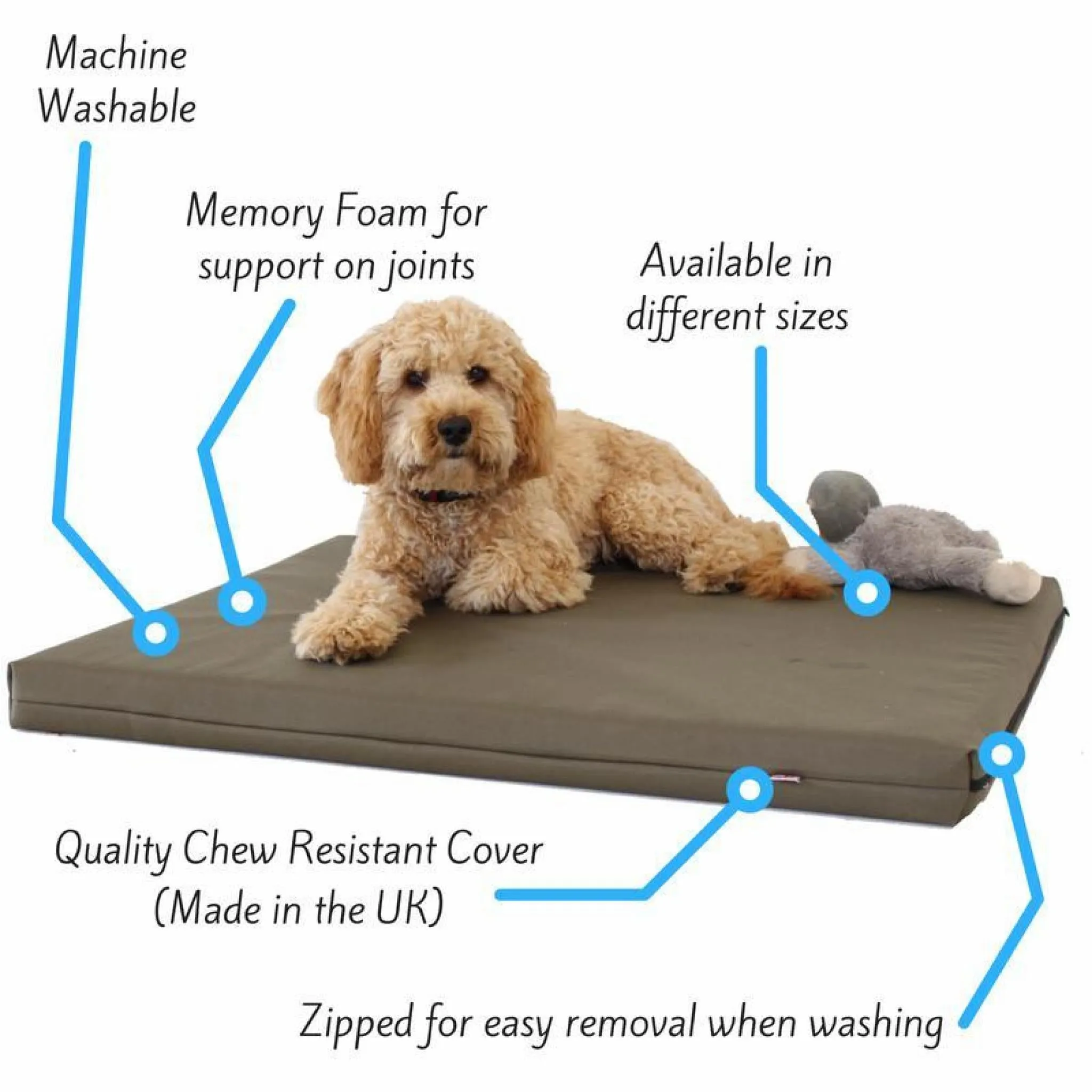 Memory Foam Dog Bed With Cover