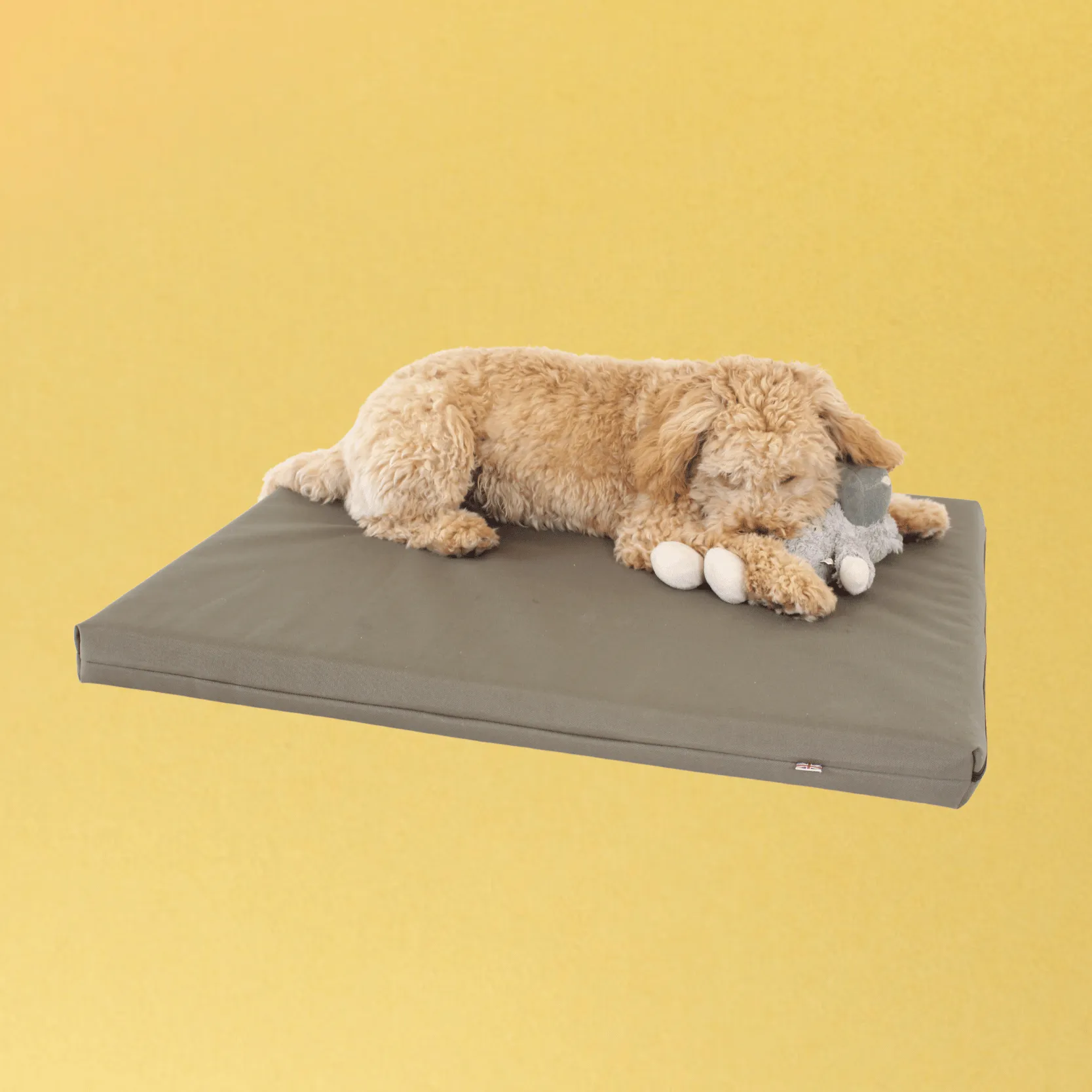 Memory Foam Dog Bed With Cover